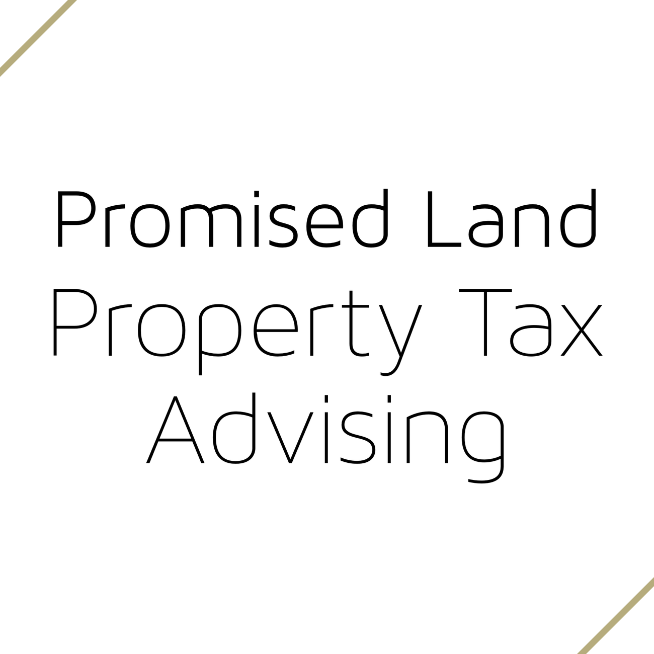 Promised Land: Property Tax Advising
